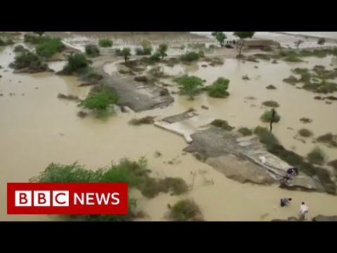 Pakistan flood victims struggle to access food and water as death toll rises - BBC News