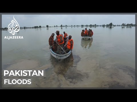 Pakistan floods devastate agriculture and livelihoods