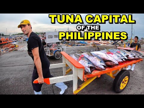 BIGGEST GIANT TUNA FISH MARKET IN THE PHILIPPINES | Foreigner Works As a Kargador (GenSan Fish Port)