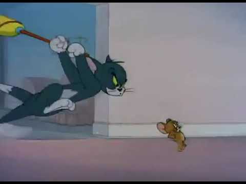 tom and jerry.... tuite bird..