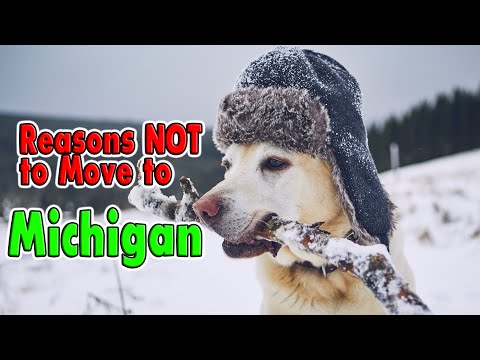 10 Reasons NOT to move to Michigan.