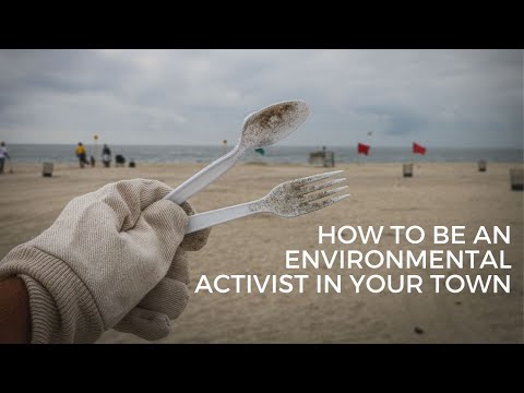 8 Ways to Be An Environmental Activist in Your Town