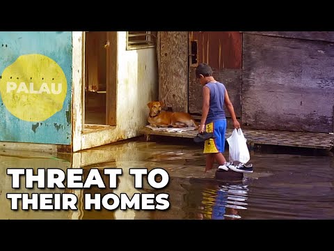 Palau Island Screaming for Help!