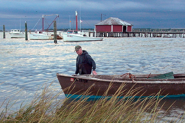 A man wades in the water, guiding a boat. In the foreground, tan reeds growing; in the background, a small harbor and other boats docked.