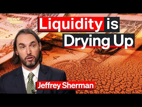 Liquidity Has “Dried Up,” Says $100 Billion Investor | Jeffrey Sherman