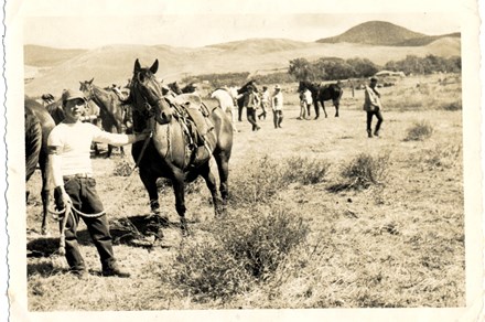 Hawaiian cowboys