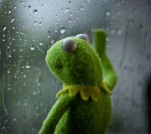 Kermit the frog looking out a foggy window dotted with raindrops. His hand rests on the window pane.