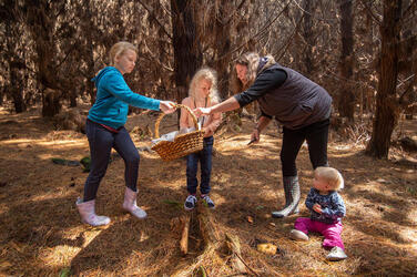 Autumn mushroom picking near Hampton, NSW, 2020