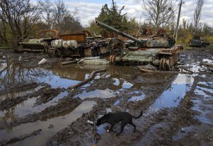 Russian tanks damaged in recent fighting are seen near the recently retaken village of Kamianka, Kharkiv region, Ukraine, Sunday, Oct. 30, 2022.