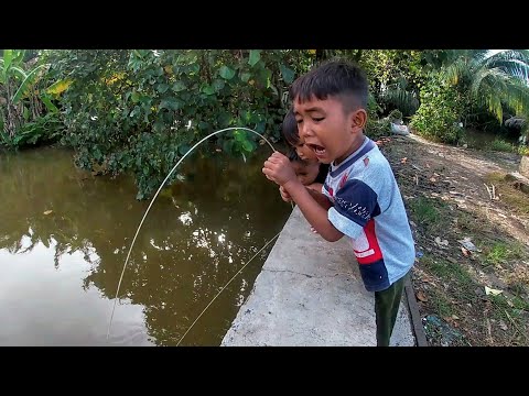 Adit Panas Saat Mamet Strike Ikan Gabus Besar