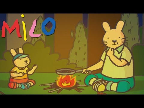 Milo - A night in the forest | Cartoon for kids