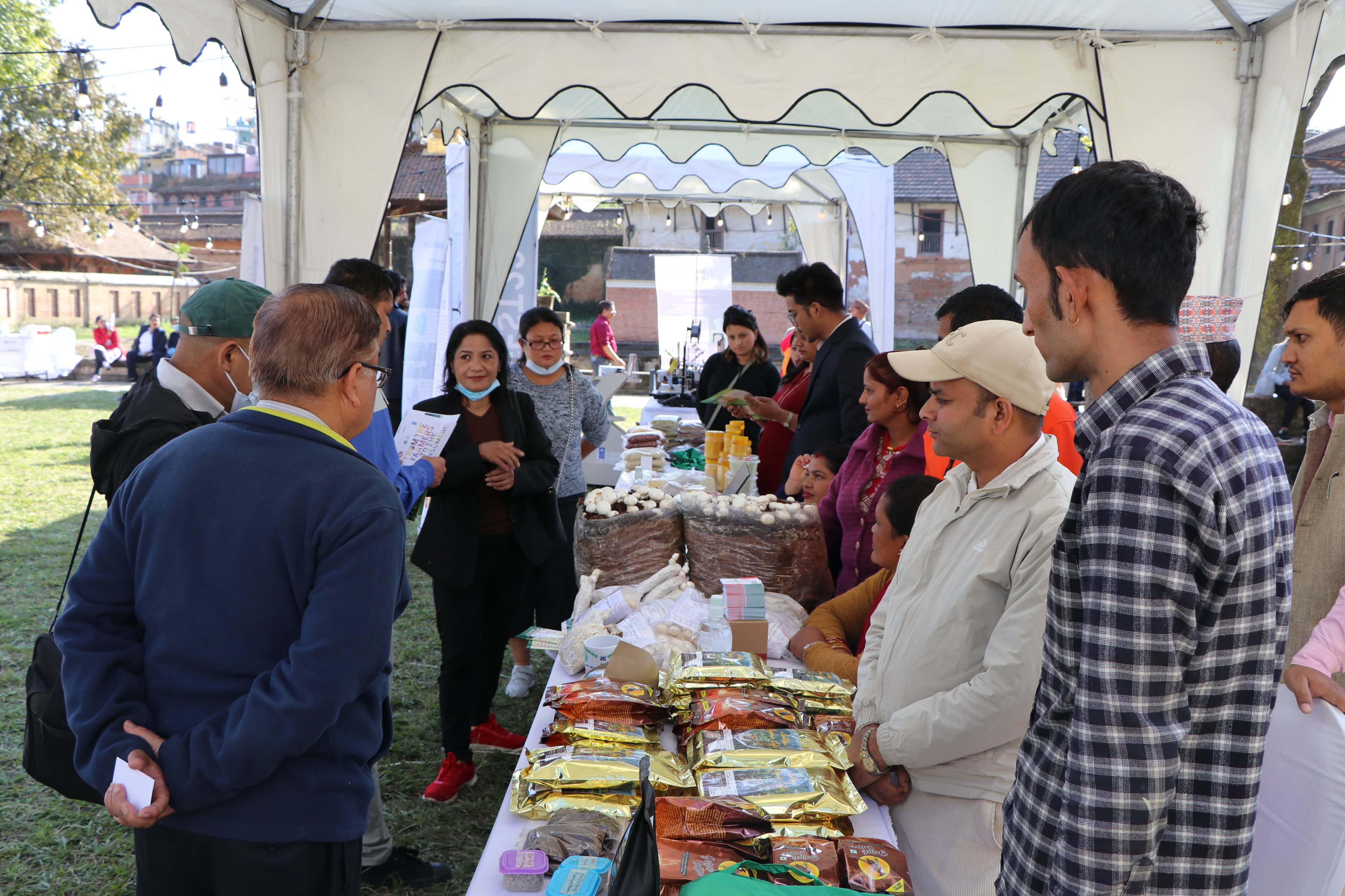 people visiting a stall in a fest