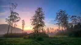 10 Tempat Wisata Alam Bandung yang Sejuk, Ada Ranca Upas