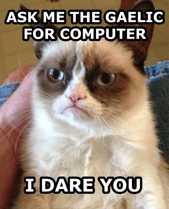 Grumpy cat learns Gaelic