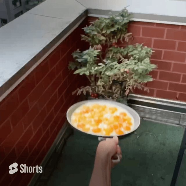 A GIF from creator Nick Miaritis's video featuring a large frying pan flipping two dozen eggs. The GIF stops as the eggs lift off the pan, becoming going into the air.