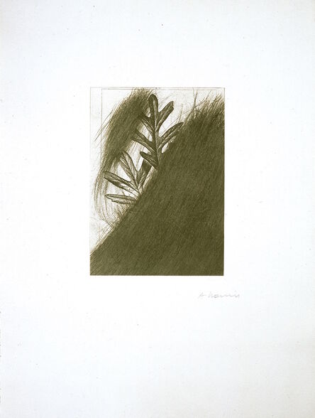 Arnulf Rainer, ‘Eichenblatt (from the portfolio "For Joseph Beuys")’, 1986