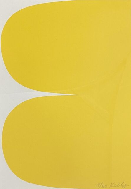 Ellsworth Kelly, ‘Yellow Curves’, 2013