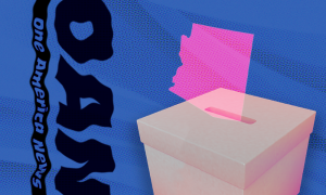 A pink-red silhouette of Arizona entering a ballot box, set against a wavy blue background and the OAN logo, in black, placed left-end-up to the left of the ballot box.