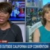 Joy Reid Schools GOP Pundit: Tea Party Protesters Were Well-Financed