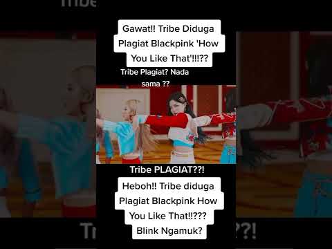 GAWAT !! TRIBE DIDUGA PLAGIAT BLACKPINK "HOW YOU LIKE THAT" BLINK NGAMUK 😲 #tribe #blackpink #blink