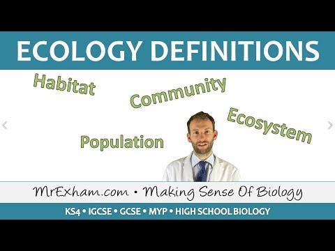 Ecology - Key Definitions - GCSE Biology (9-1)