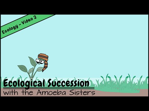 Ecological Succession: Nature's Great Grit