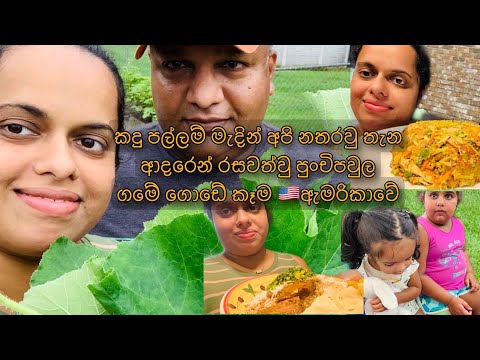 A Family Of Happiness And Love | Organic Village Life USA 🇺🇸 | චිකන් කොත්තු රස කෑම එක්ක අපේ ආදරේ