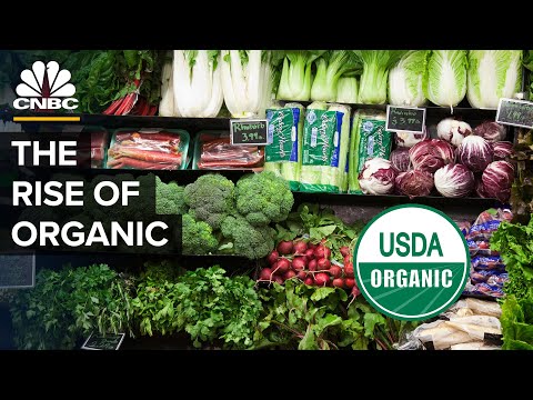 Is Organic Food Really Worth It?