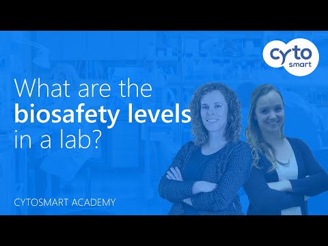 What are the different biosafety levels (BSL) in a lab - CytoSMART Academy