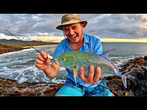 SOLO Fishing & Exploring Hawaii!!! Bluefin Trevally & Reef Fish! (Did the Sea Turtle lay eggs?!)