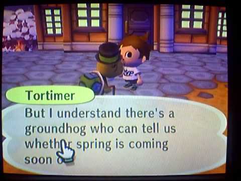 Groundhog day in Animal Crossing City Folk