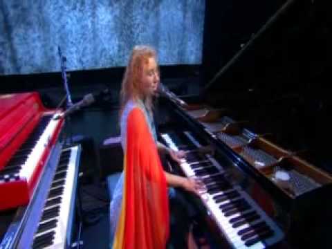 TORI AMOS concert PROFESSIONAL WIDOW