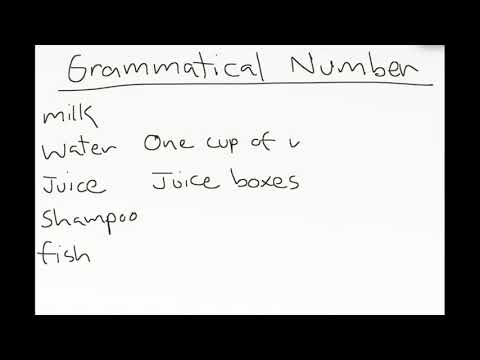 Grammatical Number