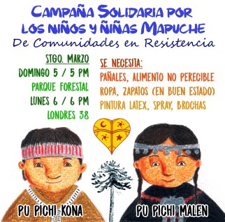 campana-solidaria-con-los-pichikeche