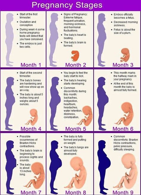 Your Changing Body: Stages Of Pregnancy Please comment your experience!