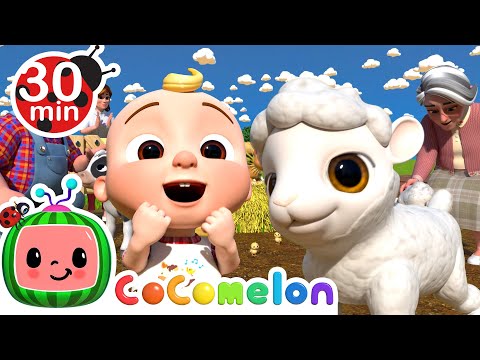 Ol' MacDonald with Baby Animals and other Classic kids songs | CoComelon Furry Friends