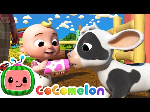 Ol' MacDonald - Baby Animals | CoComelon Furry Friends | Animals for Kids