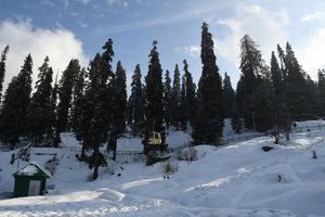 Cable car  project in progress  at Gulmarg in north kashmir on Thursday 18, January 2018. One Swedish skier  has been killed in an avalanche that took place near the second phase of Gulmarg Gandola on Apharwat Peak.