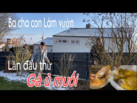 Lần đầu thử gà ủ muối, bất ngờ khi Andi khen ngon. Ba cha con tỉa cây | Cuộc sống ở Đức