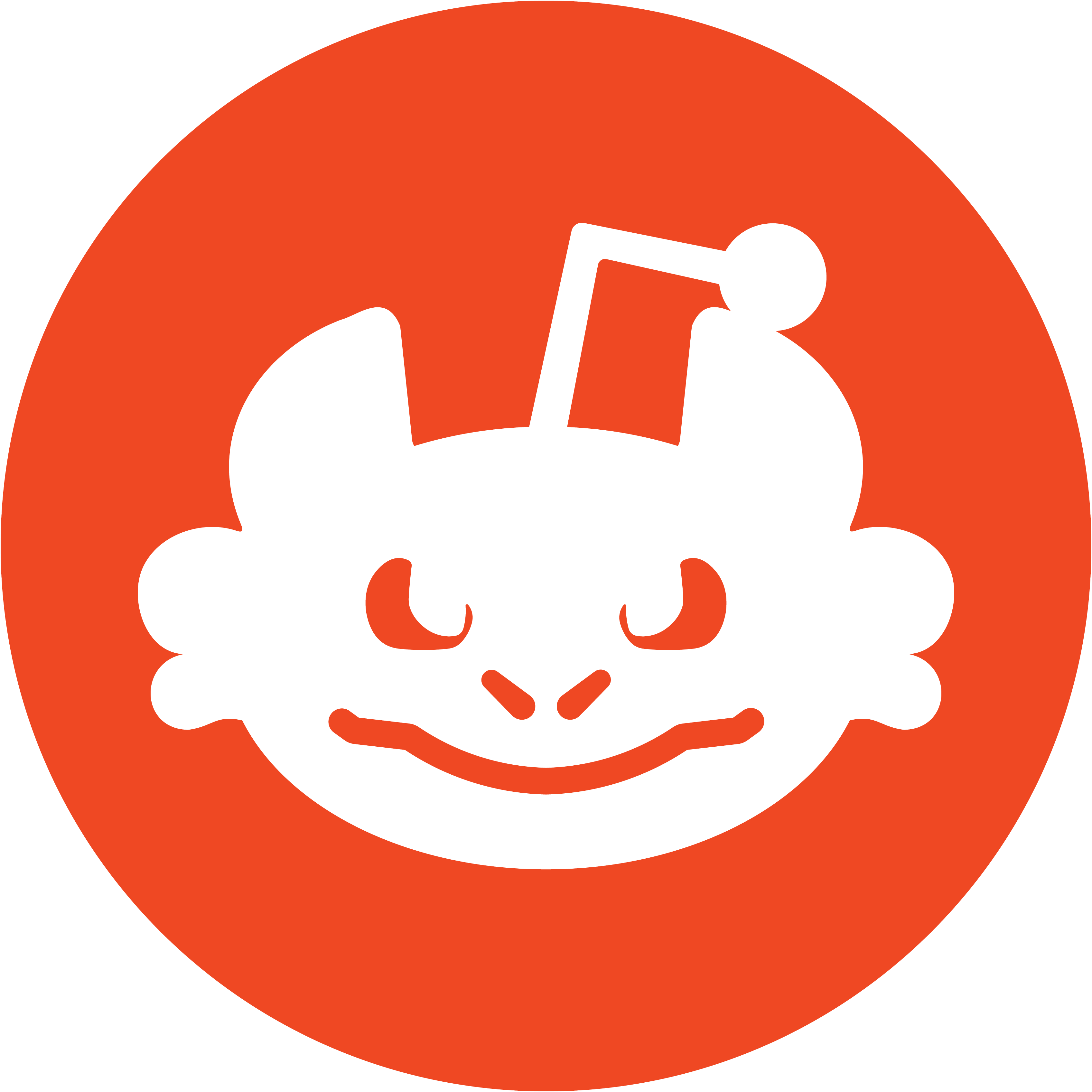 Subreddit Icon