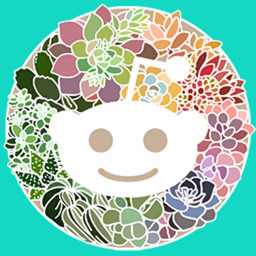 Subreddit Icon