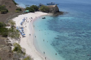 On Komodo Island the dangers lurk on the land, not the water.