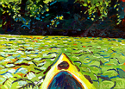 Kayak, Lilies