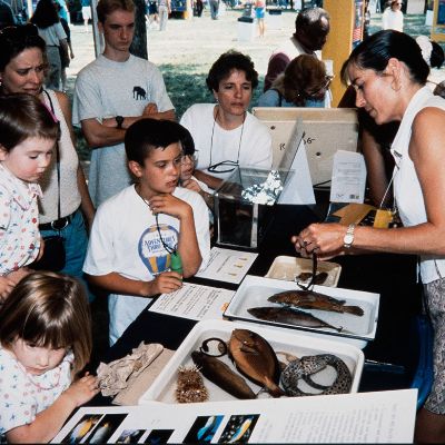 Working at the Smithsonian