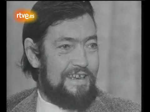 Entrevista a Julio Cortázar  (1977)