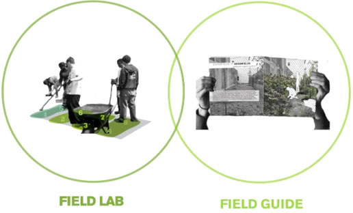 Field Guide to Phytoremediation