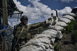 A Ukrainian soldier goes pets a cat on the frontline in the village of New York, Donetsk region, Ukraine, Monday, April 24, 2023