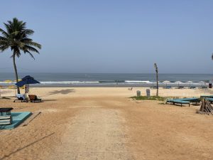 The camera view is on the beach about 100 yards from the ocean. In view are a palm tree, several beach beds, and some umbrellas. It's a pleasant, clear day with low surf.