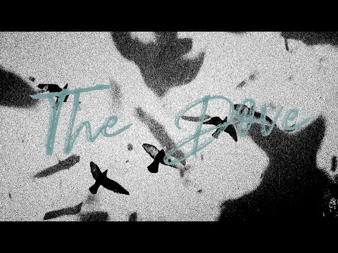 The Dove (Lyric Video) | The Belonging Co, Kari Jobe