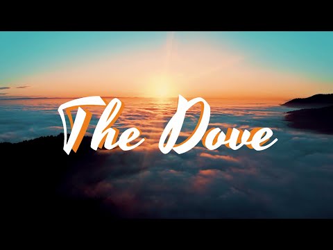 The Dove(Lyrics) | The Belonging Co